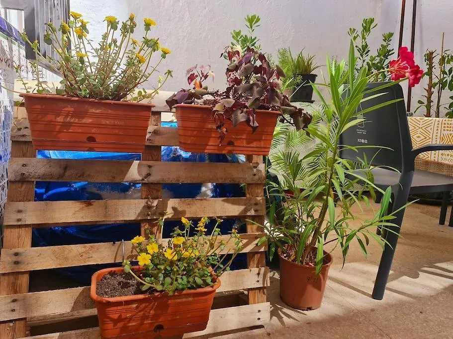 Estancia De Ensueno Y Relax Parking Gratuito Granada Apartamento